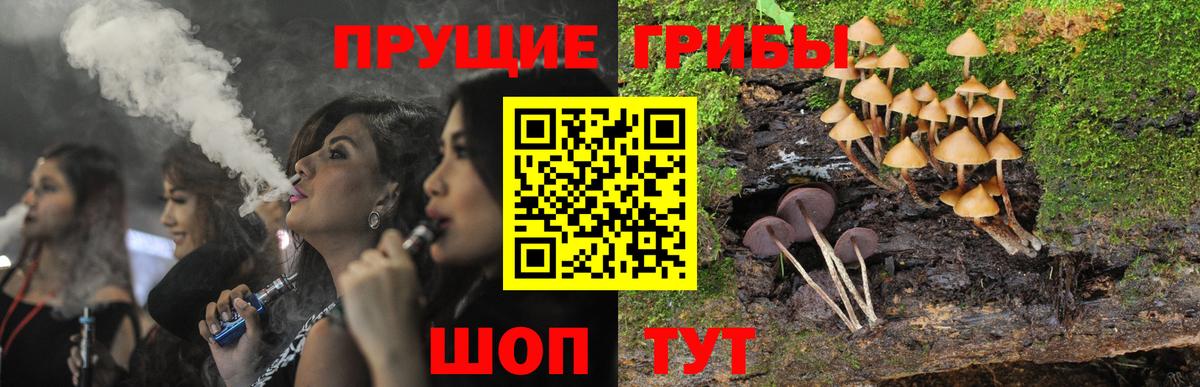 Галлюциногенные грибы Psilocybe  Псилоцибиновые грибы ЛСД  Вход с VPN  Ейск 